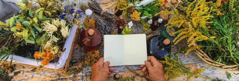 Fabrication de pigments végétaux